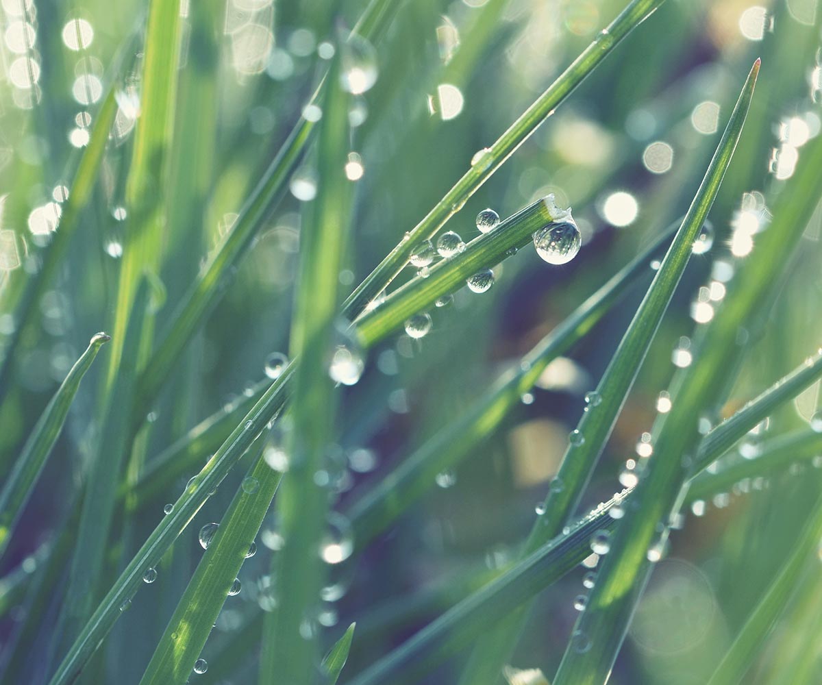 SAE Tradingのイメージ